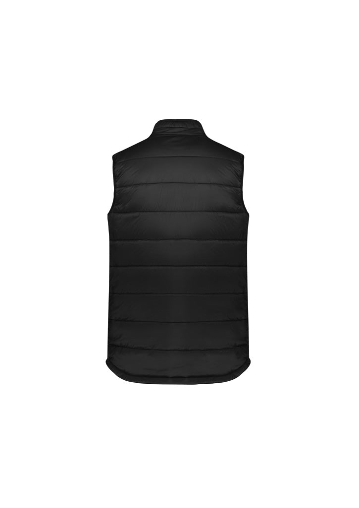 Mens Alpine Vest - back