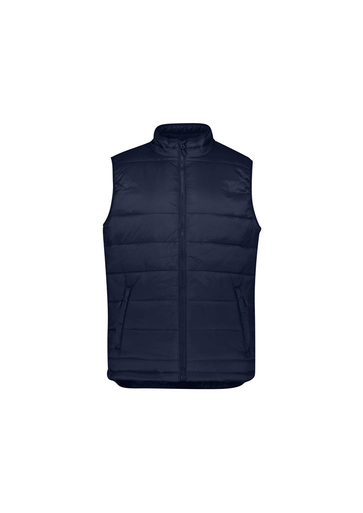 Mens Alpine Vest - back