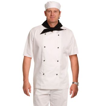 Winning Spirit Traditional Chef’s Short Sleeve Jacket